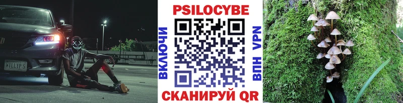 Галлюциногенные грибы Psilocybe  МЕГА рабочий сайт  Саратов 