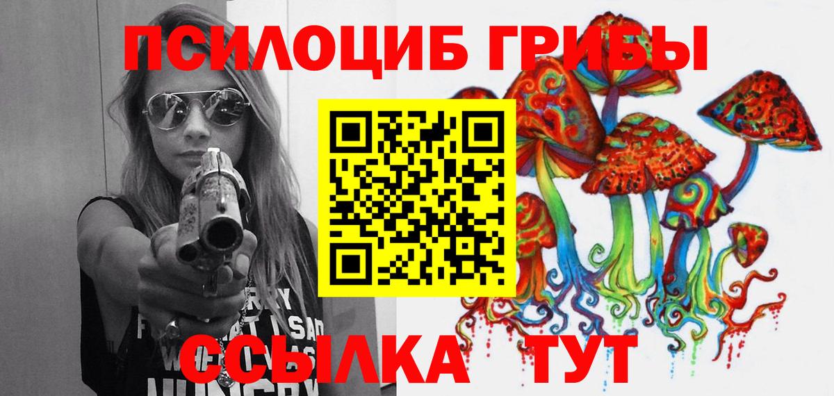 Саратов  Псилоцибиновые грибы MAGIC MUSHROOMS  Псилоцибиновые грибы MAGIC MUSHROOMS  Вход с VPN 
