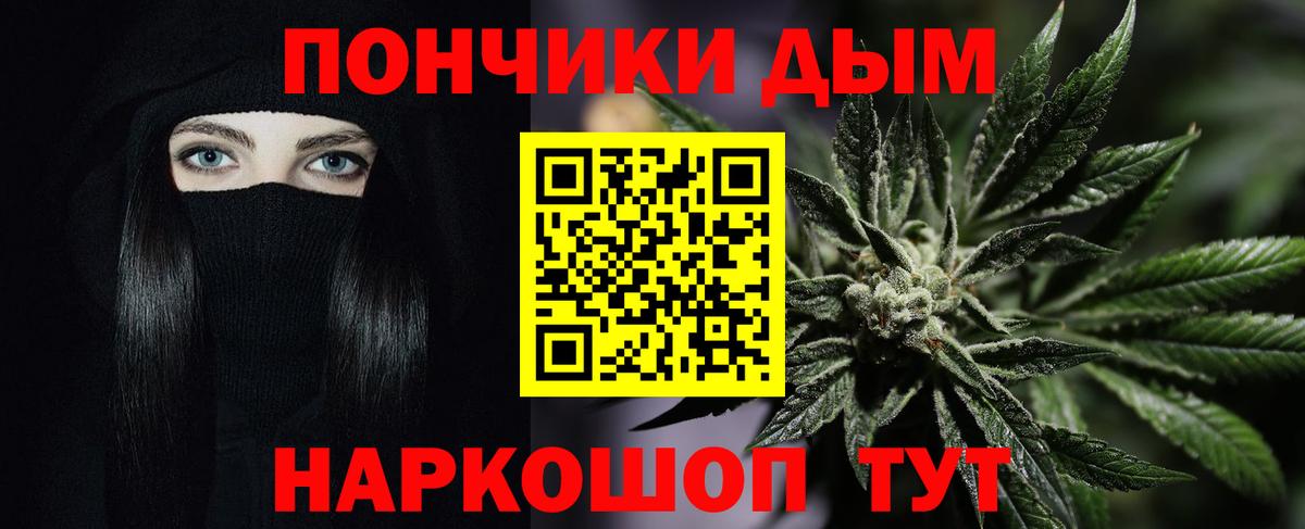 Каннабис ГИДРОПОН  Бошки Шишки сатива  Марихуана семена  Саратов  Вход с VPN  Конопля Bruce Banner 